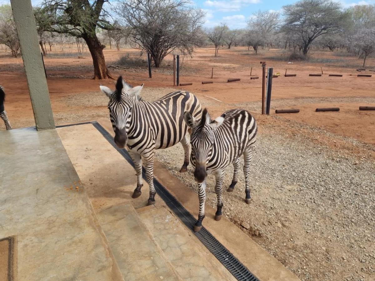 Doornkom Marloth Park Exterior foto